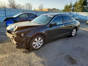2011 HONDA ACCORD