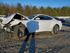 2024 FORD ALL Models