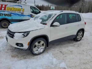 2013 VOLKSWAGEN TIGUAN