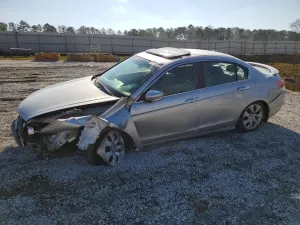 2010 HONDA ACCORD