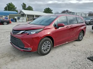 2024 TOYOTA All Models