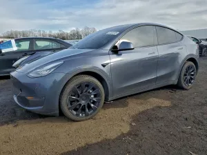 2020 TESLA MODEL Y
