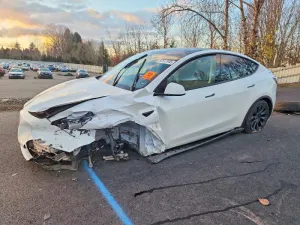 2025 TESLA MODEL Y