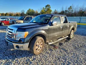 2009 FORD All Models