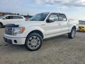 2010 FORD F-150