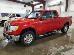 2010 FORD F-150