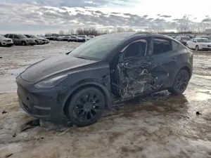 2024 TESLA MODEL Y