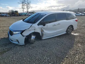 2023 HONDA ODYSSEY