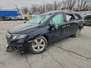 2019 HONDA All Models