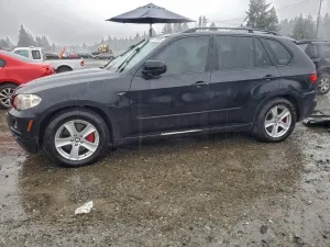 2010 BMW X5