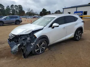 2019 LEXUS NX