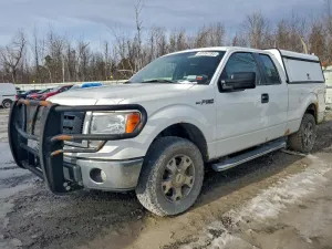2010 FORD F-150