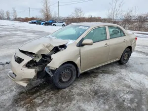 2010 TOYOTA COROLLA