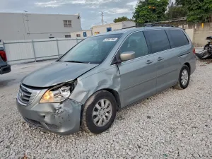 2010 HONDA All Models