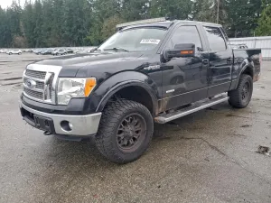 2011 FORD F-150