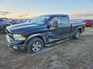 2010 DODGE All Models