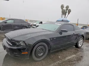 2013 FORD ALL Models