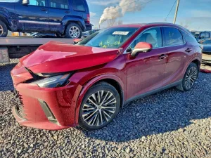 2024 LEXUS RX