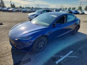 2025 TESLA MODEL 3