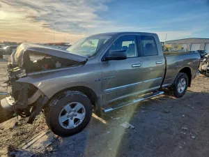 2010 DODGE All Models