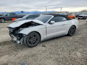 2021 FORD ALL Models