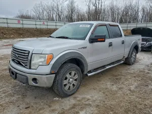 2010 FORD F-150