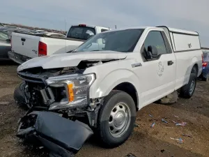 2019 FORD All Models