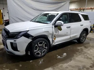 2024 HYUNDAI PALISADE