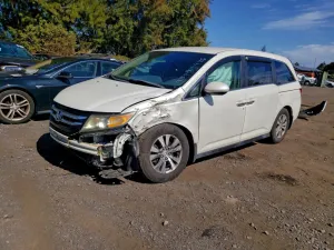 2015 HONDA All Models