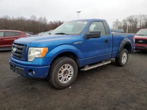 2009 FORD All Models