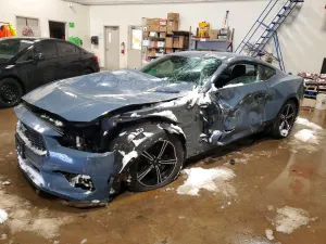 2024 FORD ALL Models