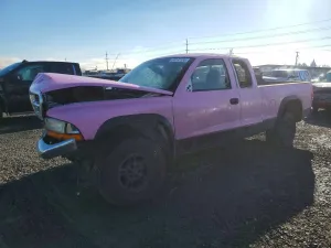 2000 DODGE All Models