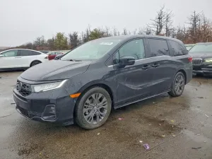 2025 HONDA ODYSSEY