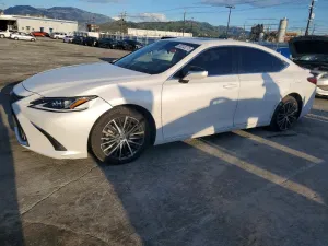 2024 LEXUS ES300