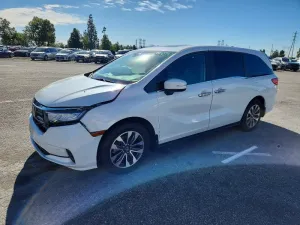 2021 HONDA All Models