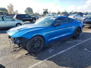 2019 FORD ALL Models