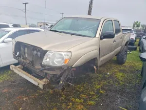 2006 TOYOTA All Models