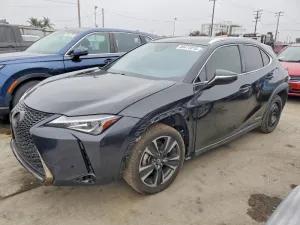 2019 LEXUS UX 250H