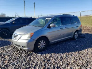 2010 HONDA All Models