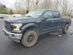 2017 FORD F-150