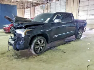 2023 TOYOTA TUNDRA