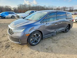 2023 HONDA ODYSSEY