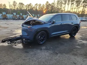 2025 TOYOTA GRAND HIGH