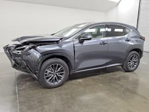 2025 LEXUS NX