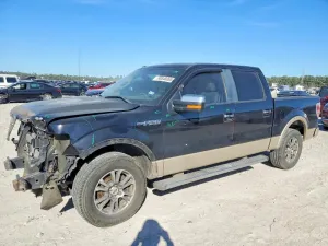 2010 FORD F-150