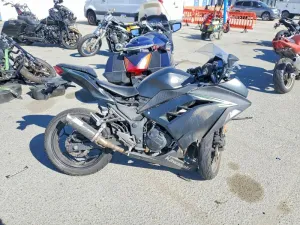 2016 KAWASAKI EX300 B