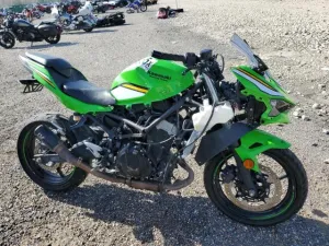 2025 KAWASAKI EX500 H