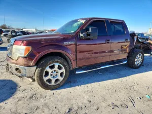 2009 FORD F-150