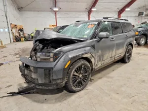 2025 HYUNDAI SANTA FE