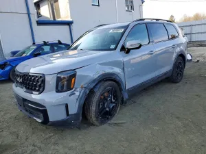 2024 KIA TELLURIDE